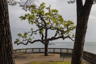 IMG_7564.JPG