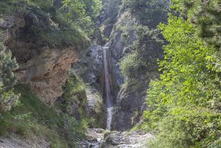 IMG_7519.JPG