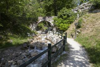 IMG_7467.JPG