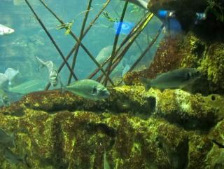 IMG_8731.JPG