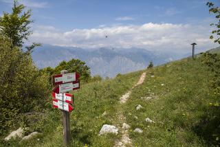 IMG_7393.JPG