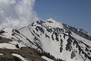 IMG_7118.JPG