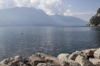 IMG_7281.JPG