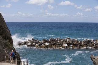 IMG_8177.JPG