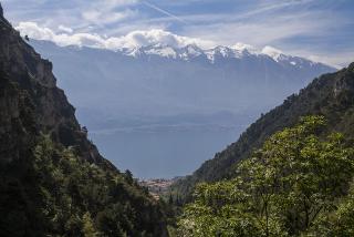 IMG_7472.JPG