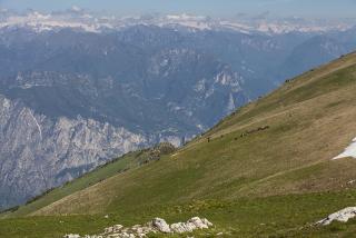 IMG_7068.JPG