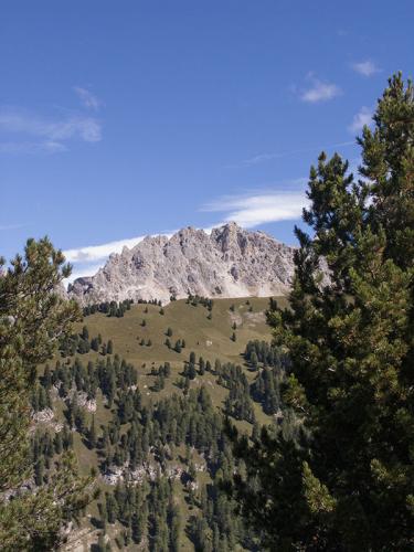 CRW_0190.JPG