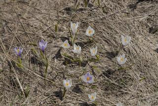 IMG_7160.JPG
