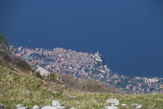 IMG_7065.JPG