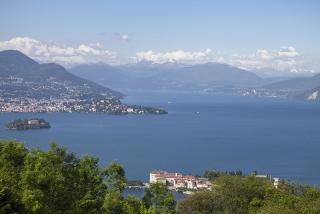 IMG_7726.JPG