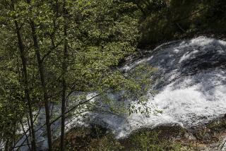 IMG_7313.JPG