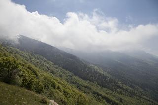 IMG_7402.JPG