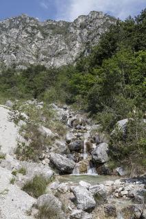 IMG_7476.JPG