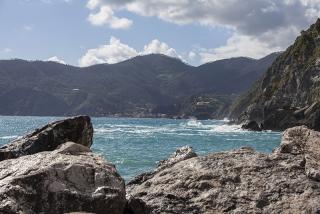 IMG_8321.JPG