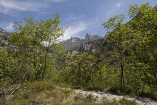 IMG_7473.JPG
