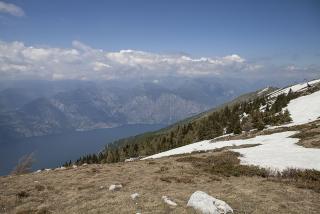 IMG_7156.JPG