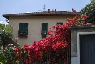 IMG_8430.JPG