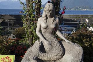 IMG_7770.JPG