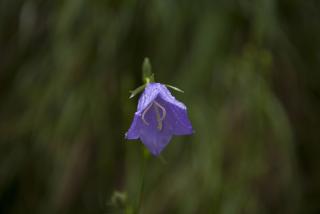 IMG_8393.JPG