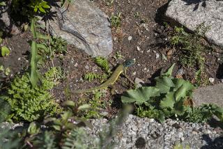 IMG_7847.JPG