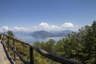 IMG_7867.JPG
