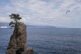 IMG_8043.JPG