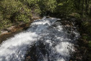 IMG_7310.JPG