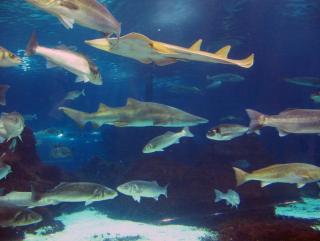 IMG_8806.JPG