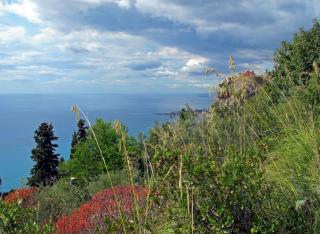 IMG_5681.JPG
