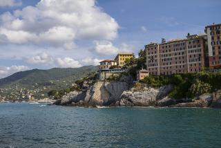 IMG_8513.JPG