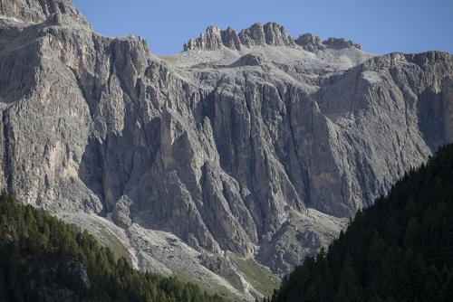 IMG_9849.JPG