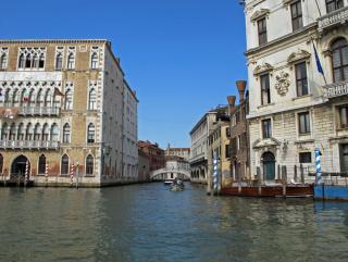 IMG_3584.JPG