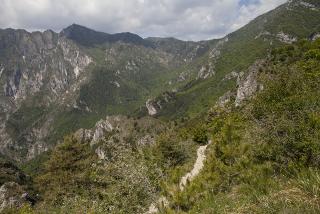 IMG_7490.JPG