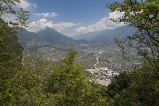 IMG_7316.JPG