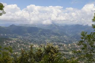 IMG_7980.JPG