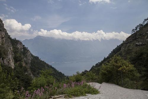 IMG_7517.JPG