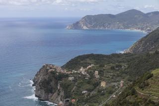 IMG_8234.JPG