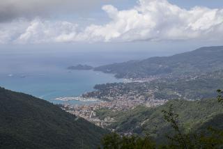 IMG_8411.JPG
