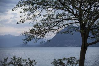IMG_7778.JPG