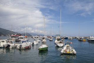 IMG_8650.JPG