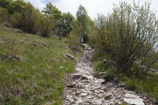 IMG_7403.JPG