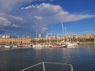 IMG_8294.JPG