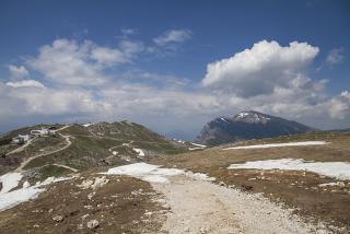 IMG_7174.JPG