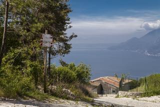 IMG_7379.JPG