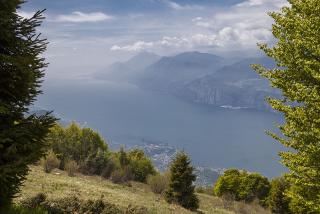 IMG_7405.JPG