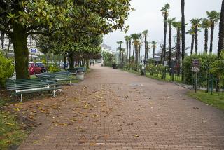 IMG_7557.JPG