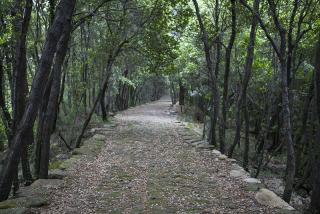 IMG_8388.JPG