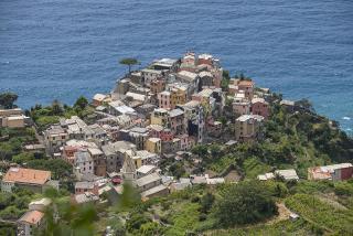 IMG_8245.JPG