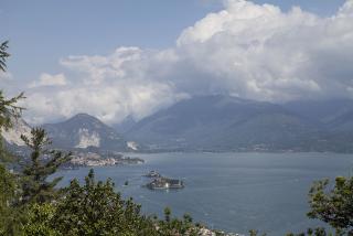 IMG_7816.JPG