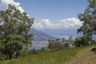 IMG_7866.JPG